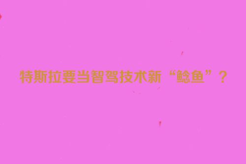 特斯拉要当智驾技术新“鲶鱼”？