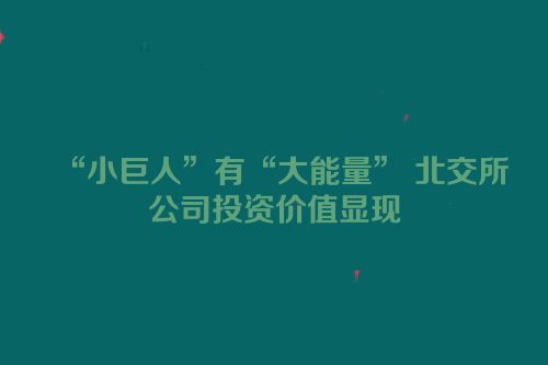 “小巨人”有“大能量” 北交所公司投资价值显现