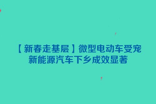 【新春走基层】微型电动车受宠 新能源汽车下乡成效显著