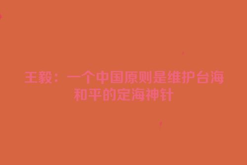 王毅：一个中国原则是维护台海和平的定海神针