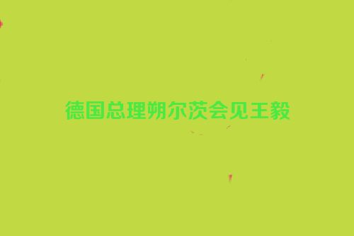 德国总理朔尔茨会见王毅