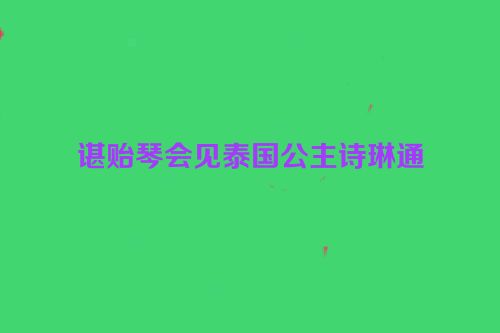 谌贻琴会见泰国公主诗琳通
