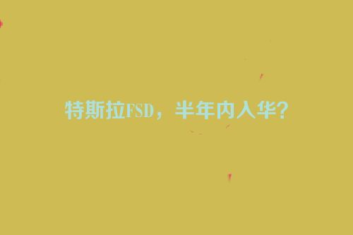 特斯拉FSD，半年内入华？