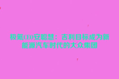 极氪CEO安聪慧：吉利目标成为新能源汽车时代的大众集团