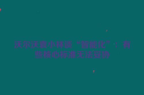 沃尔沃袁小林谈“智能化”：有些核心标准无法妥协