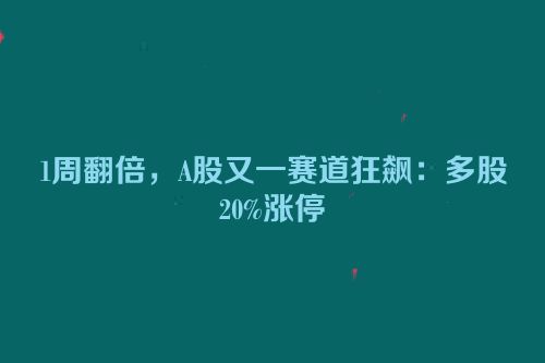 1周翻倍，A股又一赛道狂飙：多股20%涨停