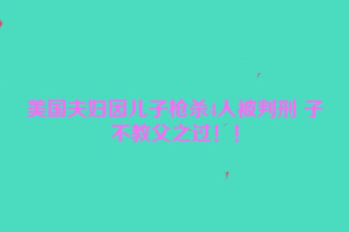 美国夫妇因儿子枪杀4人被判刑 子不教父之过！！