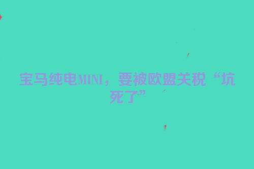 宝马纯电MINI，要被欧盟关税“坑死了”