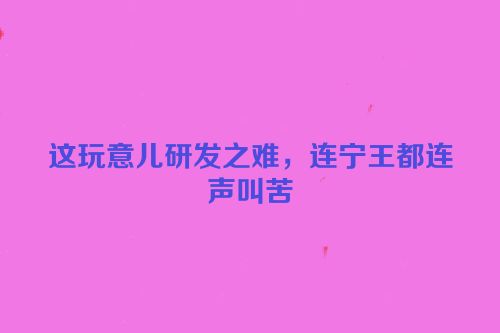 这玩意儿研发之难，连宁王都连声叫苦