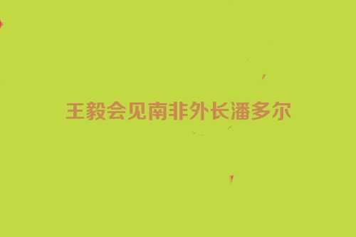 王毅会见南非外长潘多尔