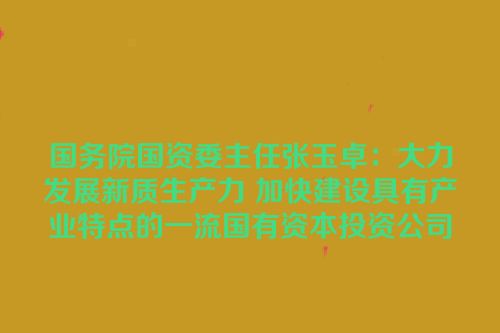 国务院国资委主任张玉卓：大力发展新质生产力 加快建设具有产业特点的一流国有资本投资公司