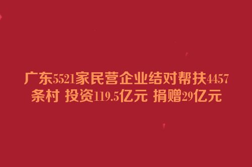 广东5521家民营企业结对帮扶4457条村 投资119.5亿元 捐赠29亿元