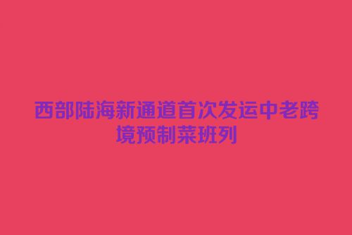 西部陆海新通道首次发运中老跨境预制菜班列