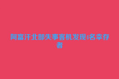 阿富汗北部失事客机发现4名幸存者