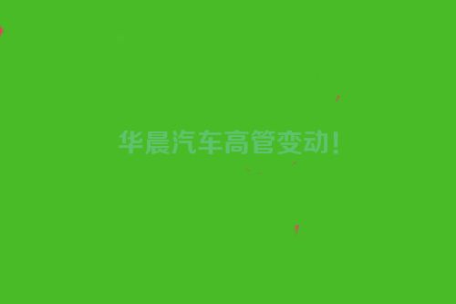 华晨汽车高管变动！