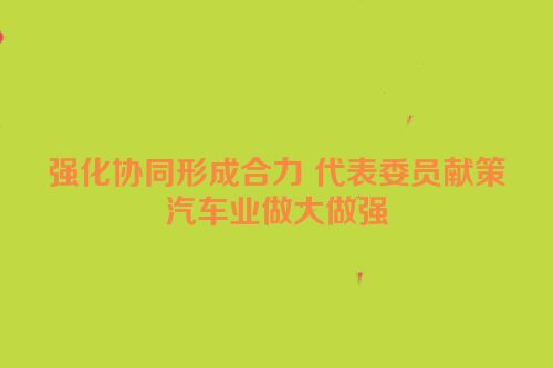 强化协同形成合力 代表委员献策汽车业做大做强