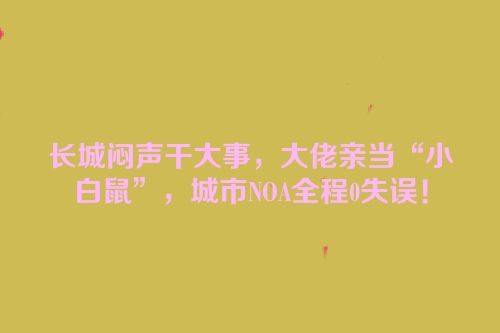 长城闷声干大事，大佬亲当“小白鼠”，城市NOA全程0失误！
