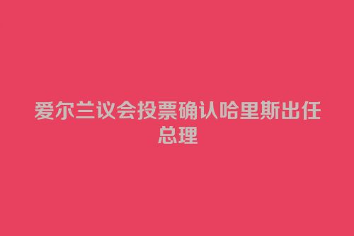 爱尔兰议会投票确认哈里斯出任总理