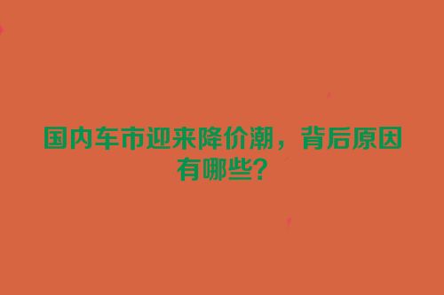 国内车市迎来降价潮，背后原因有哪些？
