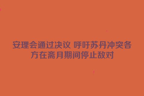 安理会通过决议 呼吁苏丹冲突各方在斋月期间停止敌对