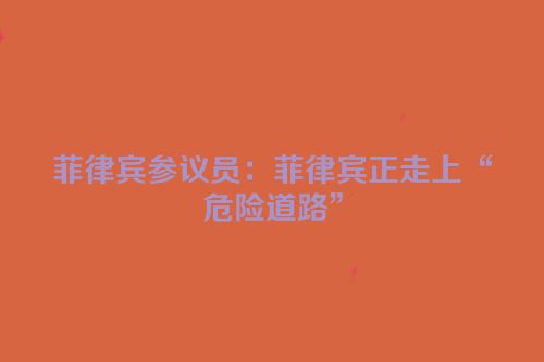 菲律宾参议员：菲律宾正走上“危险道路”