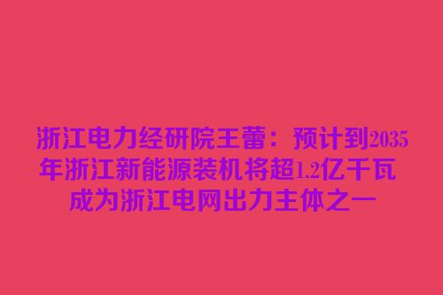 浙江电力经研院王蕾：预计到2035年浙江新能源装机将超1.2亿千瓦 成为浙江电网出力主体之一