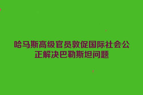 哈马斯高级官员敦促国际社会公正解决巴勒斯坦问题