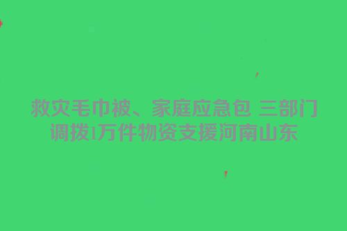 救灾毛巾被、家庭应急包 三部门调拨1万件物资支援河南山东