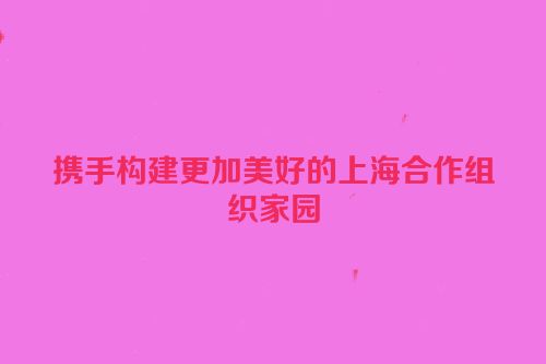 携手构建更加美好的上海合作组织家园