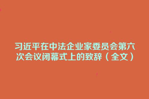 习近平在中法企业家委员会第六次会议闭幕式上的致辞（全文）