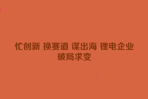 忙创新 换赛道 谋出海 锂电企业破局求变