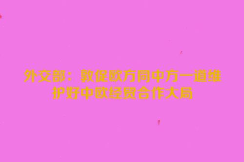 外交部：敦促欧方同中方一道维护好中欧经贸合作大局