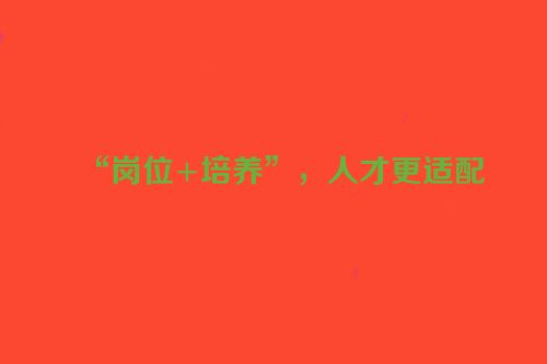“岗位+培养”，人才更适配