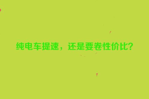 纯电车提速，还是要卷性价比？