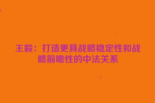 王毅：打造更具战略稳定性和战略前瞻性的中法关系