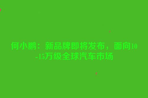 何小鹏：新品牌即将发布，面向10-15万级全球汽车市场