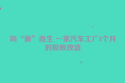 向“新”而生 一家汽车工厂8个月的极致改造