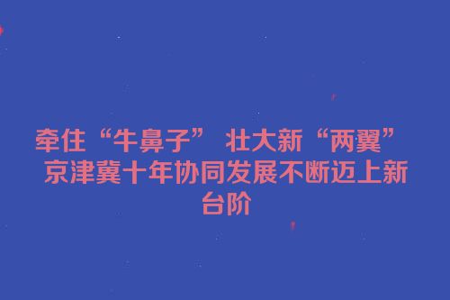 牵住“牛鼻子” 壮大新“两翼” 京津冀十年协同发展不断迈上新台阶