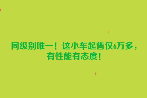 同级别唯一！这小车起售仅6万多，有性能有态度！