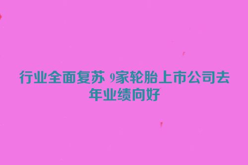 行业全面复苏 9家轮胎上市公司去年业绩向好