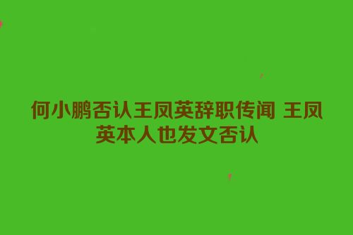 何小鹏否认王凤英辞职传闻 王凤英本人也发文否认
