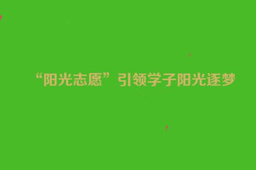 “阳光志愿”引领学子阳光逐梦