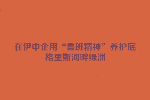 在伊中企用“鲁班精神”养护底格里斯河畔绿洲