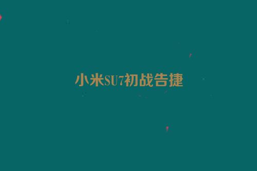 小米SU7初战告捷