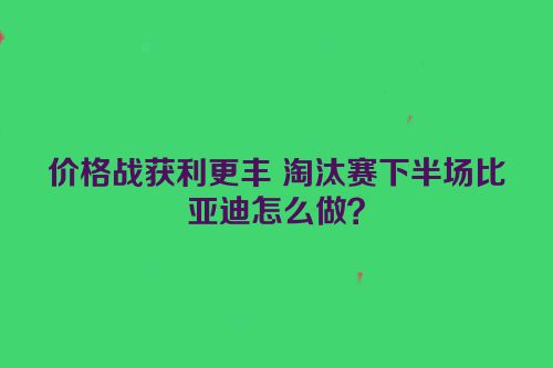 价格战获利更丰 淘汰赛下半场比亚迪怎么做？