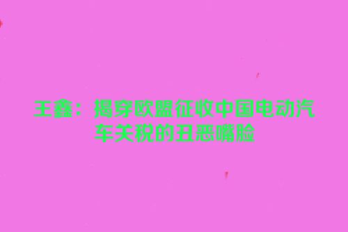 王鑫：揭穿欧盟征收中国电动汽车关税的丑恶嘴脸