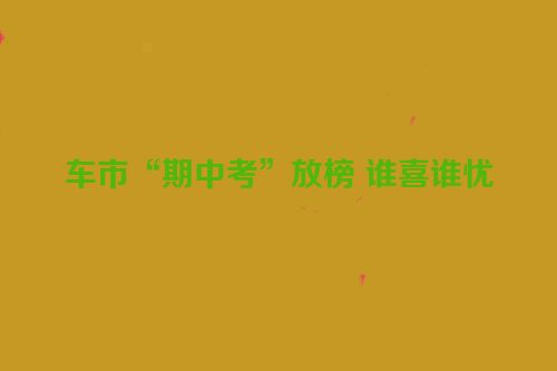 车市“期中考”放榜 谁喜谁忧