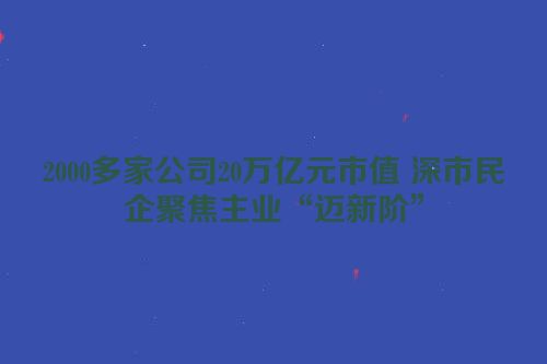 2000多家公司20万亿元市值 深市民企聚焦主业“迈新阶”