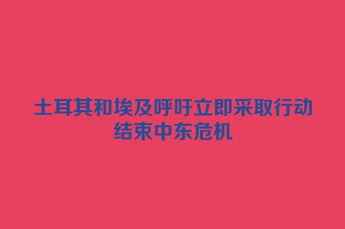 土耳其和埃及呼吁立即采取行动结束中东危机