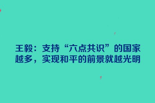王毅：支持“六点共识”的国家越多，实现和平的前景就越光明
